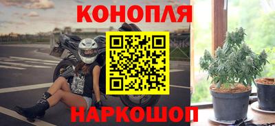 гидра Шебекино