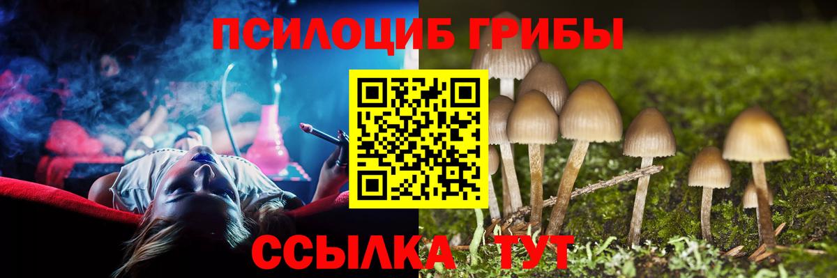 Галлюциногенные грибы Magic Shrooms Реж
